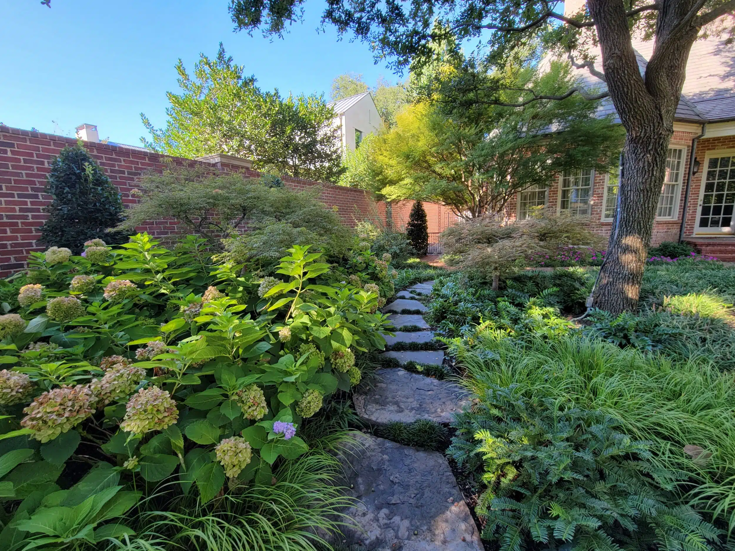 Landscape Design in McKinney