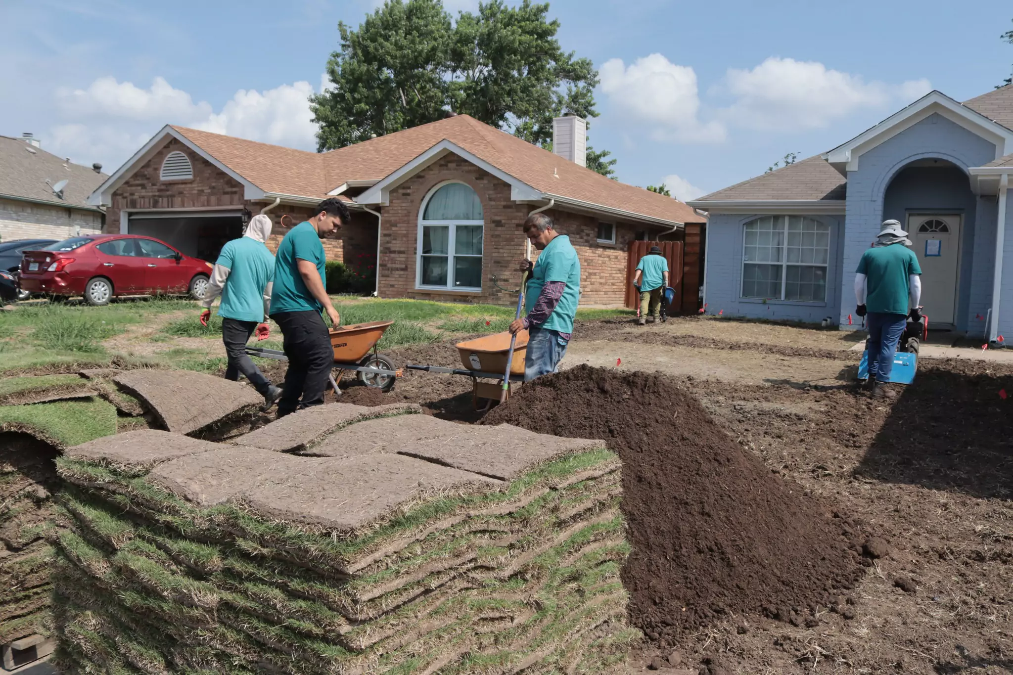 Sod Installation in McKinney